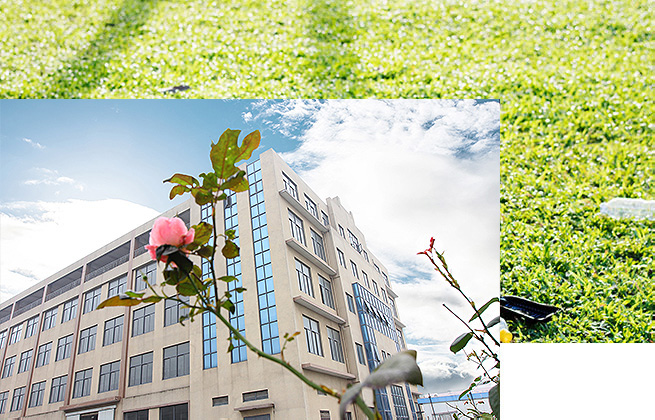 盒裝抽紙自動(dòng)稱(chēng)重分選設(shè)備  在線皮帶秤檢重秤廠家